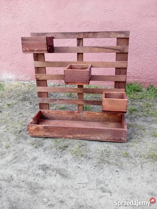 DONICAkwietnik Grodziec