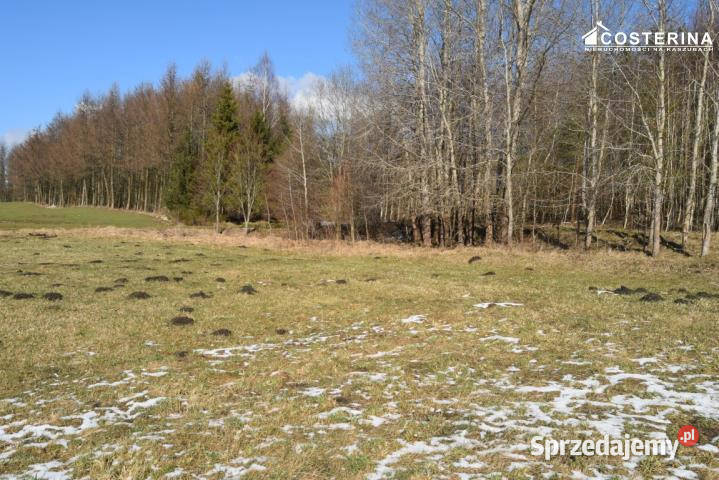 Grunt Bukowina 1159m2 pomorskie sprzedam