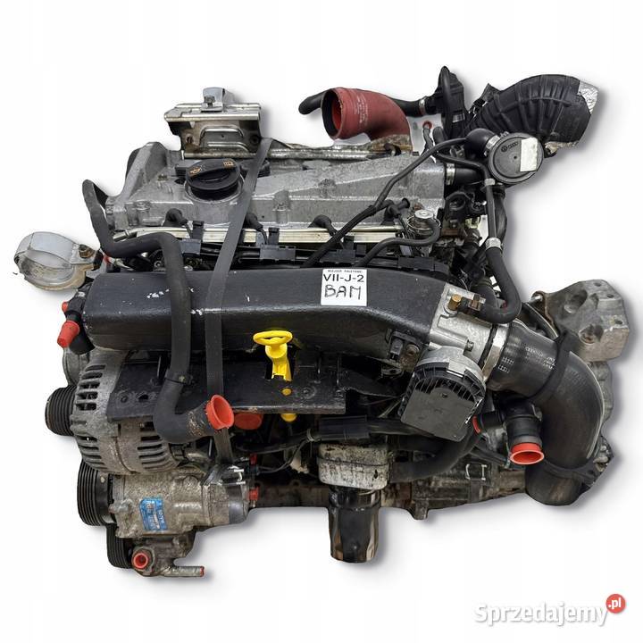 SILNIK BAM Audi A3 S3 TT Seat Leon I Cupra R 18 Chełm