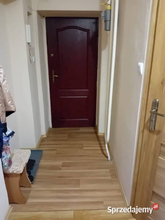 sprzedam mieszkanie Sprzedaż