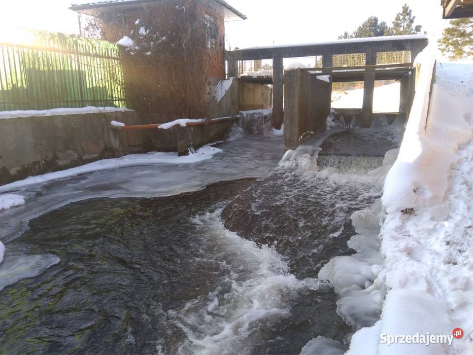 Stawy hodowlane rybne las działka 542 ha Działka rolna lubelskie Krężnica Jara
