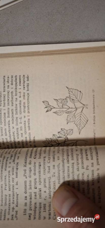 Ojcowski Park Narodowy Partyka przewodnik z mapą