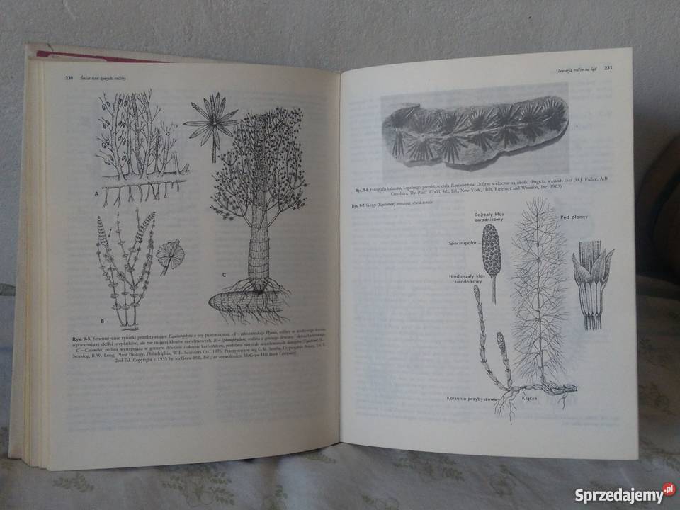 Biologia Villego Biologia Claude A Ville wyd 9 Warszawa