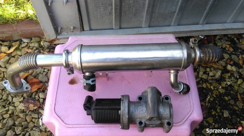 Zawor egr zafira b 19cdti 150 Pajęczno