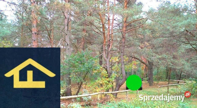 Działka w Woli Karczewskiej Wola Karczewska