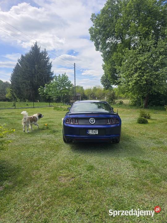 Ford Mustang Premium Pony Łódź
