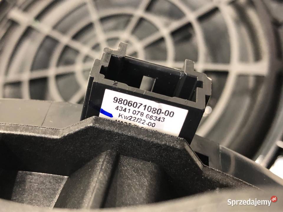 GŁOŚNIKI KOMPLET CITROEN C4 III 9830932280 podkarpackie