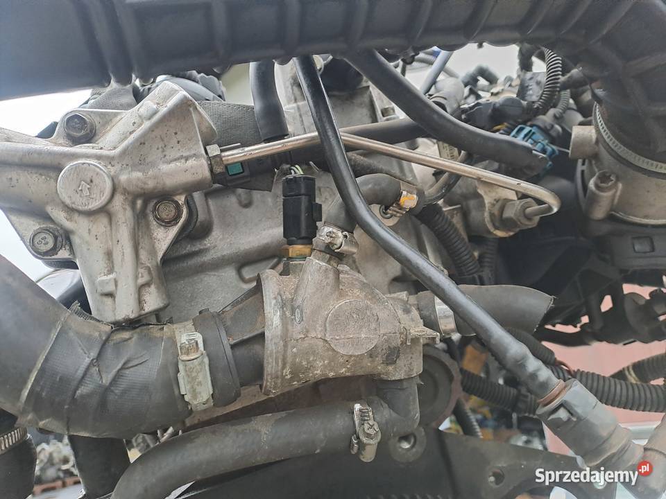 Alfa Romeo GT 20 16V JTS 165 silnik kompletny Motoryzacja Jastrzębie-Zdrój