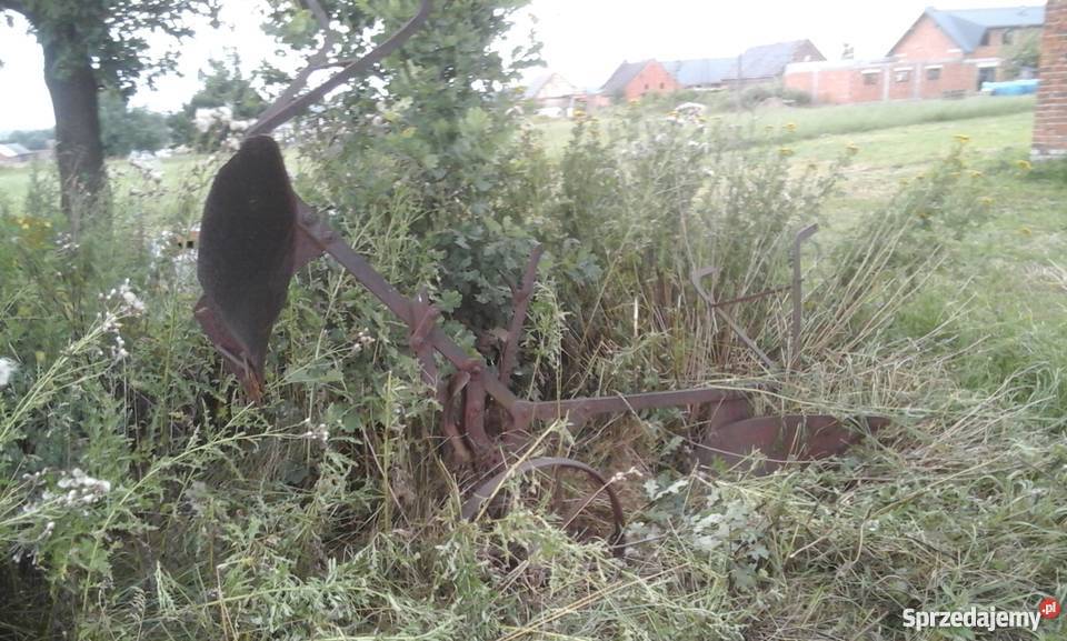 Pług konny zabytekdwu skibowy obrotowy ozdoba do opolskie Gorzów Śląski sprzedam