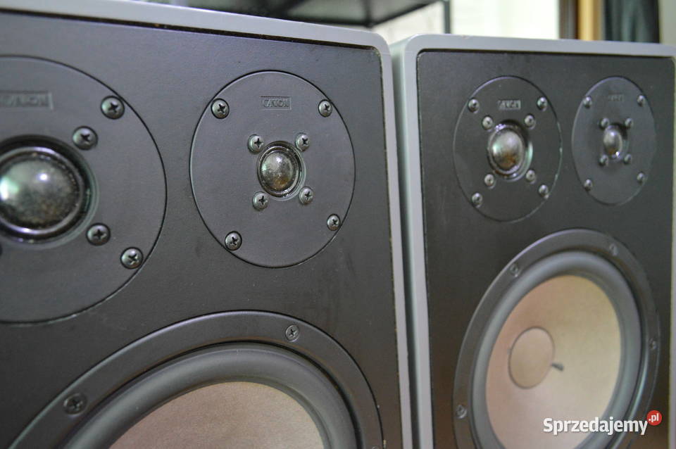 Fenomenalne CANTON FONUM 100 Perfekcyjne HiFi Haczów