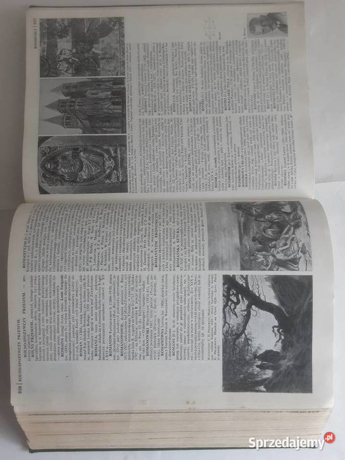 MAŁA ENCYKLOPEDIA POWSZECHNA PWN zachodniopomorskie Szczecinek