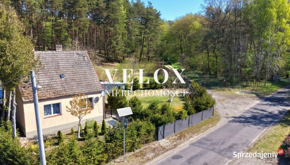 Cichy dom wolnostojący lesie Szczecina Bolechowo