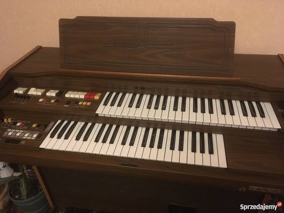 Organy elektroniczne ELKA Włoskie Super stan Instrumenty klawiszowe i MIDI Poznań