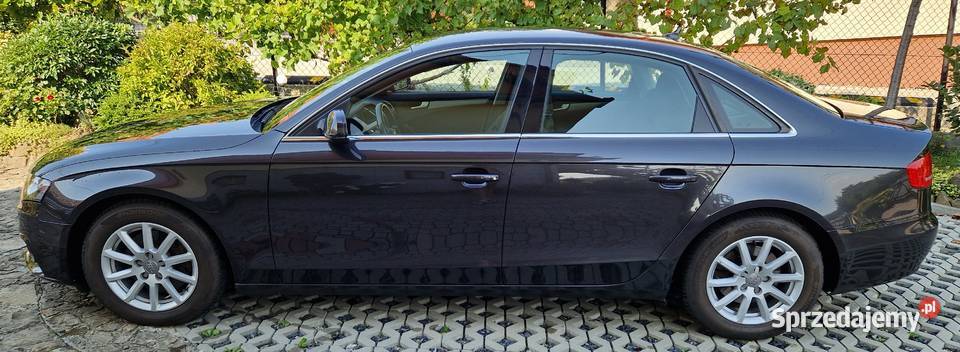 Audi A4 B8 20 TDI 136 NaviLED hak Kraków sprzedam
