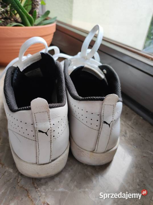 półbuty sneakersy skórzane skórkowe Puma Women Puma Kielce