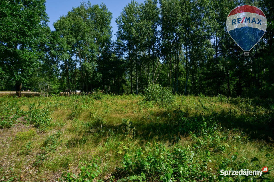Działka budowlana 1002m2 Grądy k Żyrardowa budowlana sprzedam