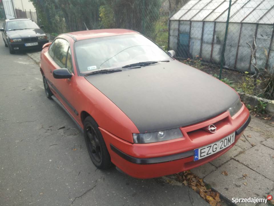 Calibra beżowa skóra BLENDA Zgierz