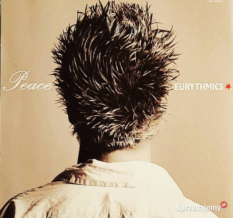 CD Nowa Kultowy Album CD EURYTHMICS Album We Too Poznań