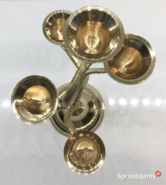 Indyjski świecznik drzewo Kraków