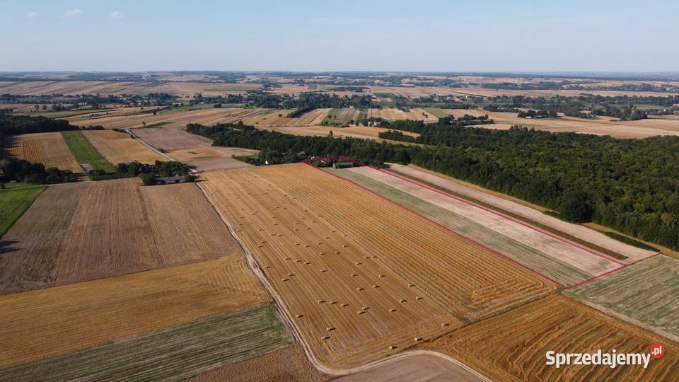 Siedlisko na sprzedaż lubelskie Płonka
