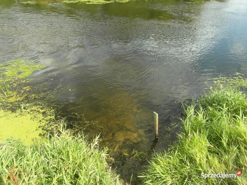 działkę w gm Joniec 2300m war zabudowy woda ogr