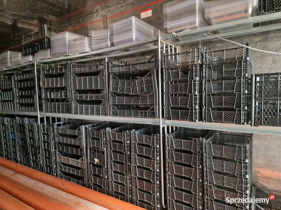 skrzynka skrzynki na owoce pieczarki ślimaki itp