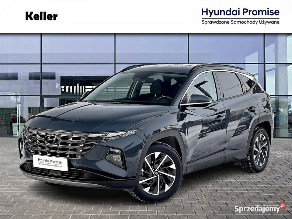 16 150 Executive I wł Krajowy Dealer Hyundai śląskie Gliwice