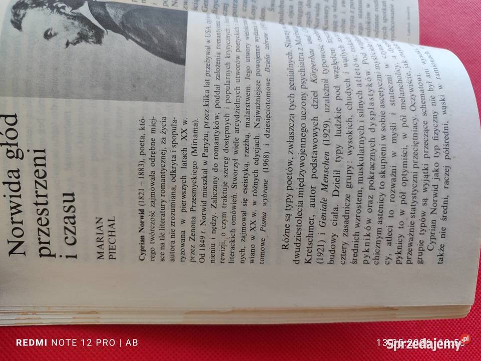 Lektury licealisty Szkice red W Pykosz i L Katowice