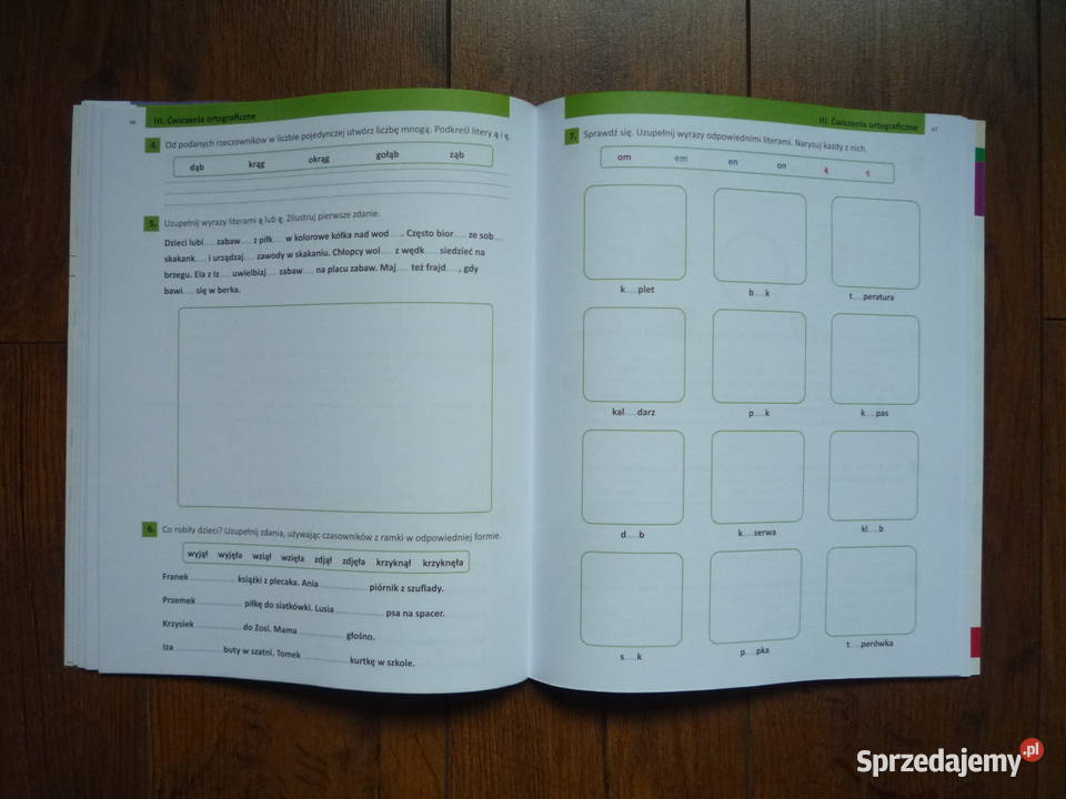 Ćwiczenia słownikowe ortograficzne i gramatyczne Szczecin
