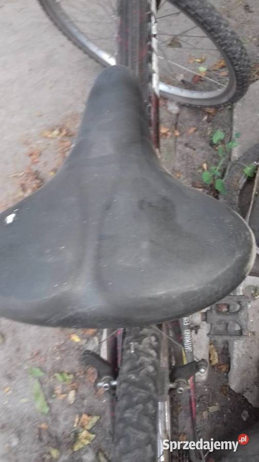 włoski rower vicini Łódź