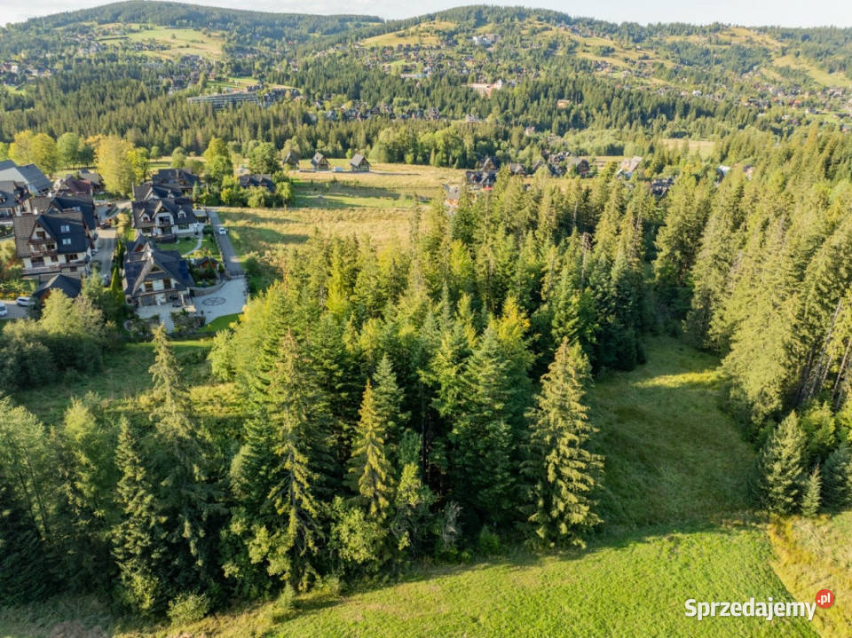 Działka RolnoLeśna 2784 m Kościelisko Gronik Sprzedaż