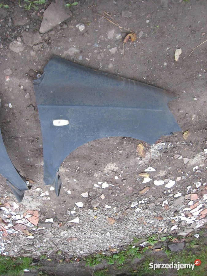 Błotnik lewy prawy Hyundai Getz przedlift 0205 małopolskie Kraków