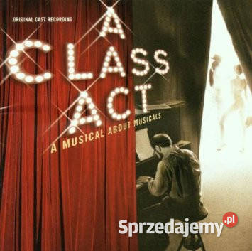 Ed Kleban A Class Act Original Cast Recording 1 płyta Krynica-Zdrój