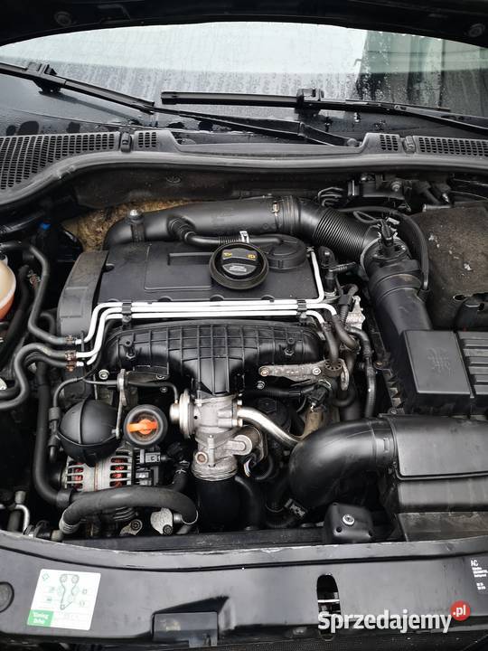 Skoda Octavia II Bielsk