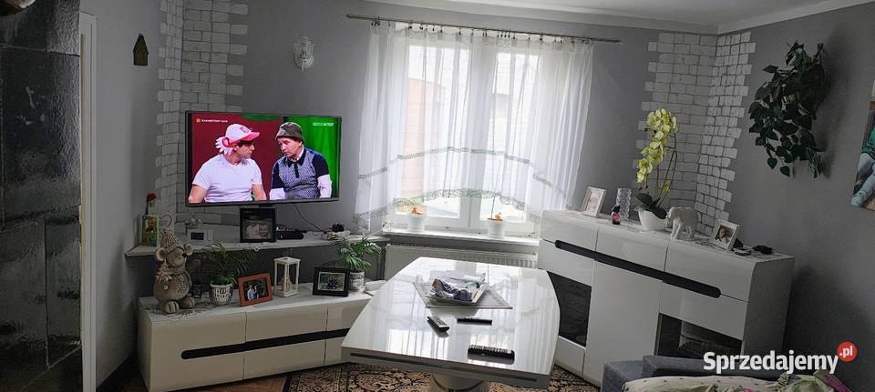 Duża dom z potencjałem siatka Bukówko