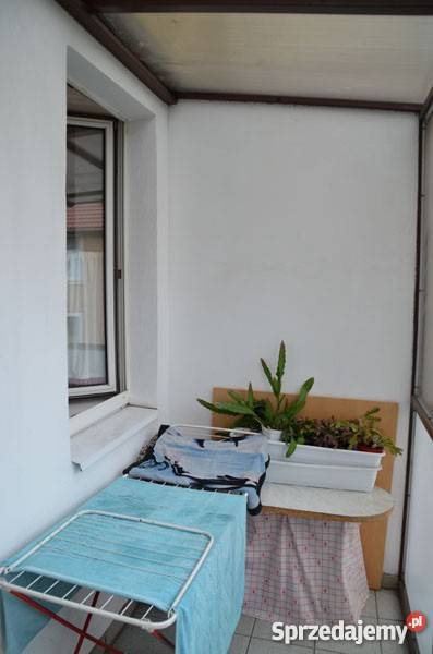 Gdańsk Wrzeszcz 100 m2 w kamienicy telefon