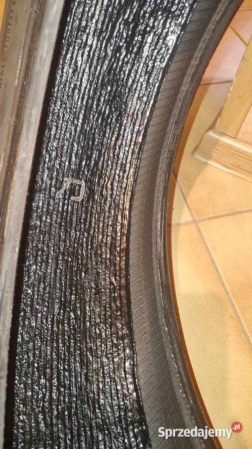 Opony zimowe Continental Wintercontact TS 830P