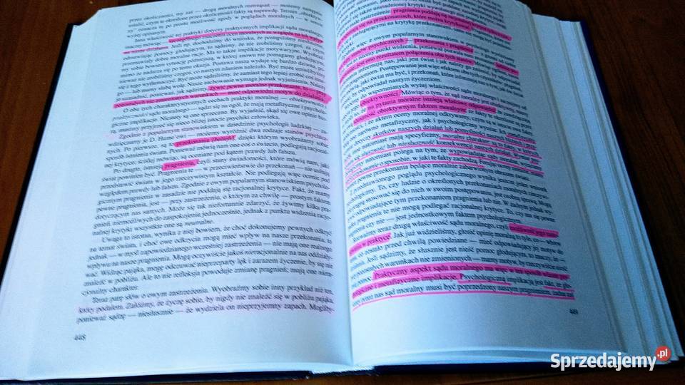 Przewodnik etyce pod red Petera Singera red wyd Gdańsk