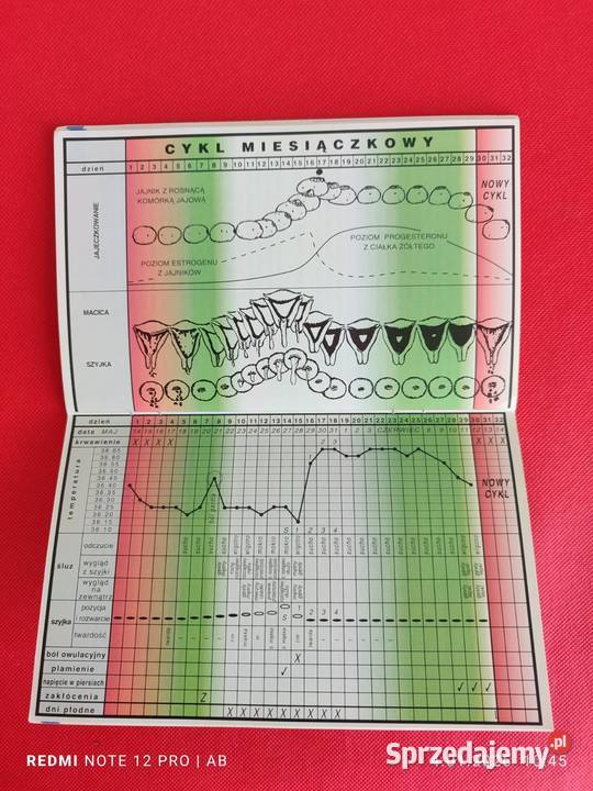 Kiedy jestem płodna a kiedy nie Alina Poradniki, albumy i reportaże Katowice sprzedam