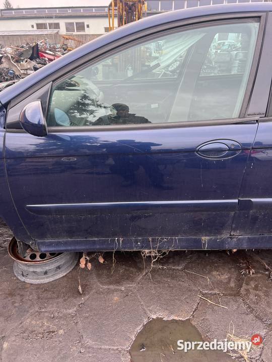 Drzwi lewy przód Citroen c5 I kpkd lubelskie Radzyń Podlaski