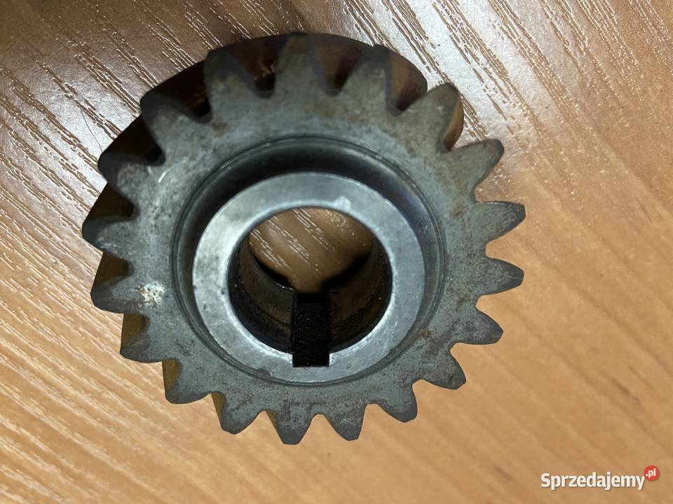 Koło Zębate 1521748 Pompa Wspomagania 1026546 ZF Maszewo