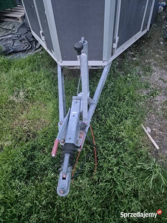 przyczepa koni rapid humbaur