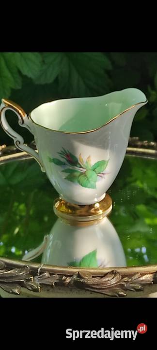 Piękne rzadkie zabytkowe róże Royal Standard