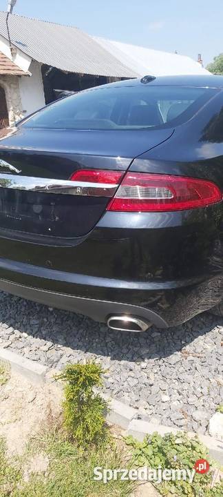Jaguar xf Biłgoraj