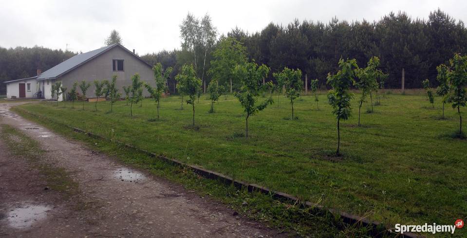 Dom 600m2 w stanie surowym zamkniętym na działce taras mazowieckie