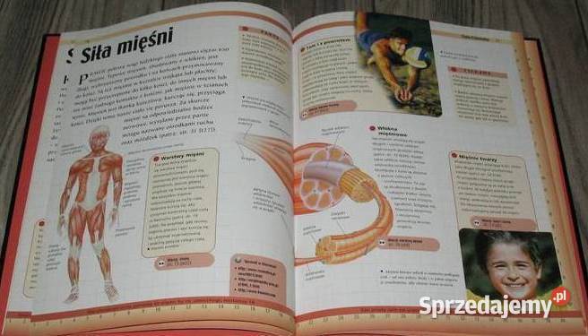 Ciało CzłowiekaZestaw2 Książki łódzkie Łódź