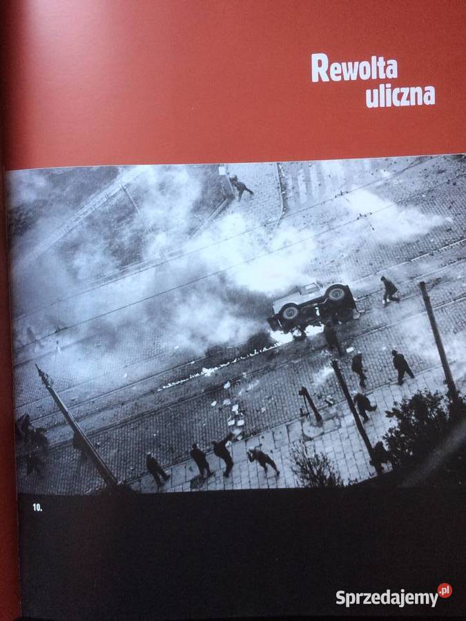 2798 Zbuntowane MiastoSzczeciński zachodniopomorskie Szczecin