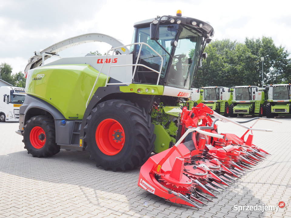 Claas Jaguar 850 Kemper 360 Plus Automatyczne ostrzenie noży Samojezdne wielkopolskie Stęszew