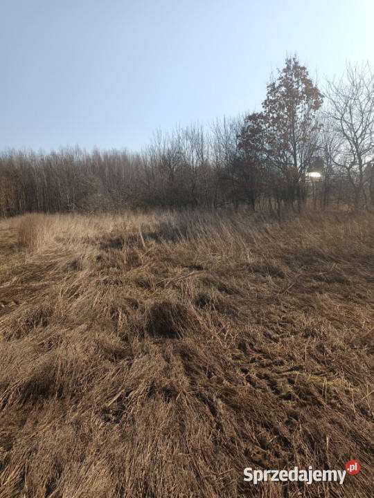 Syndyk sprzeda nieruchomość gruntowa Jarosławiec