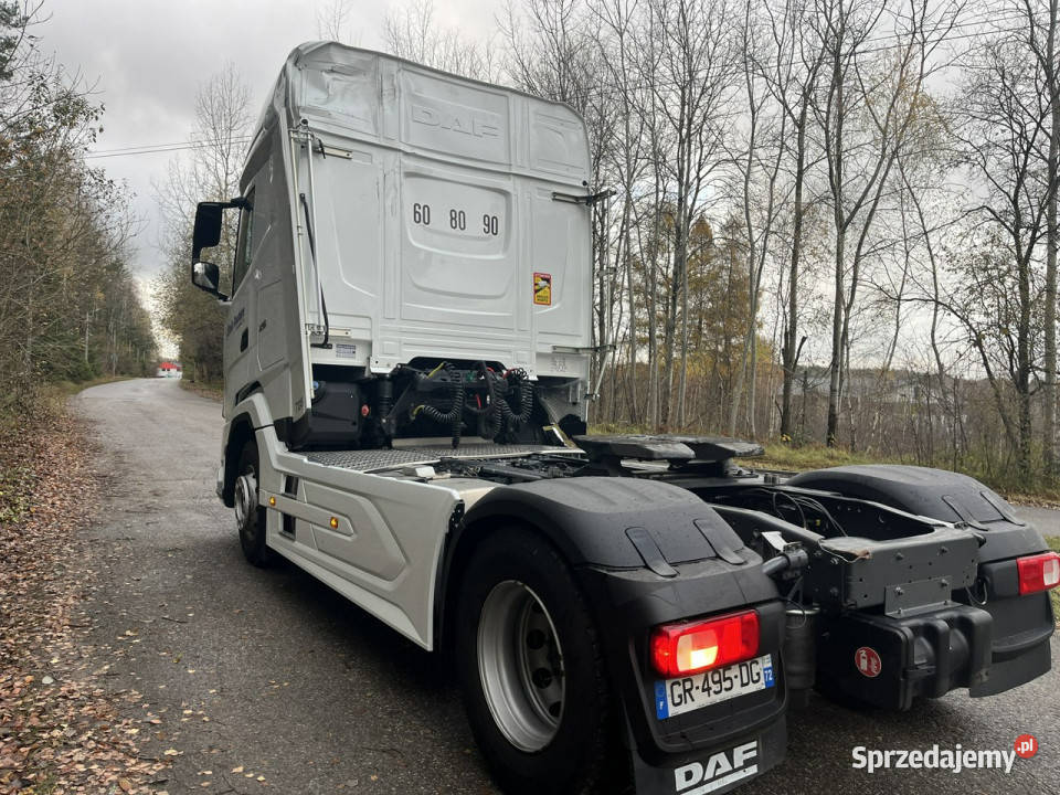 DAF XG480 DAF XG 480 pierwszy właściciel Zagnańsk